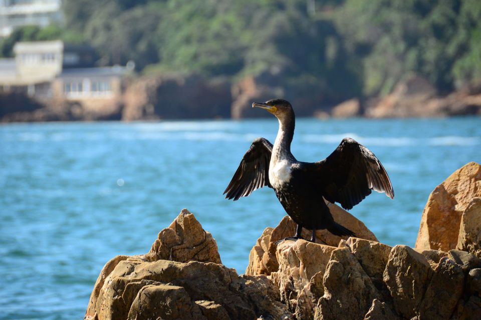 Knysna Heads and Estuary Adventure - Good To Know