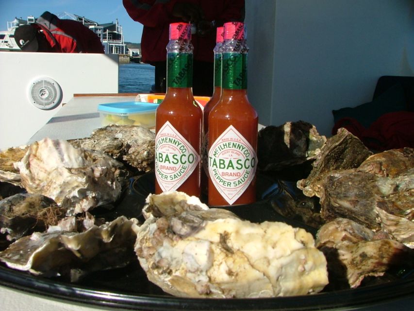 Knysna Lagoon Educational Oyster & White Wine Tasting Cruise - Good To Know