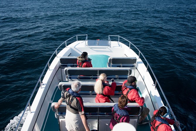 Knysna Marine Life & Garden Route Coastline Experience - Good To Know