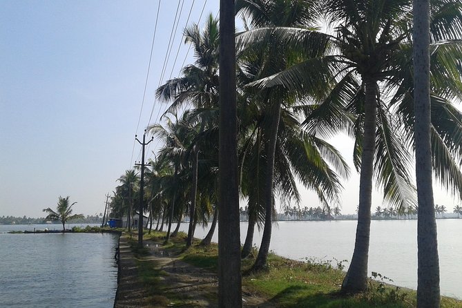 Kochi Village Life Experience Tour - the Real Tour of Kochi ! - Good To Know