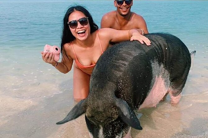 Kohsamui.Tours - Pig Island Snorkeling Eco Tour by Speed Boat - Good To Know