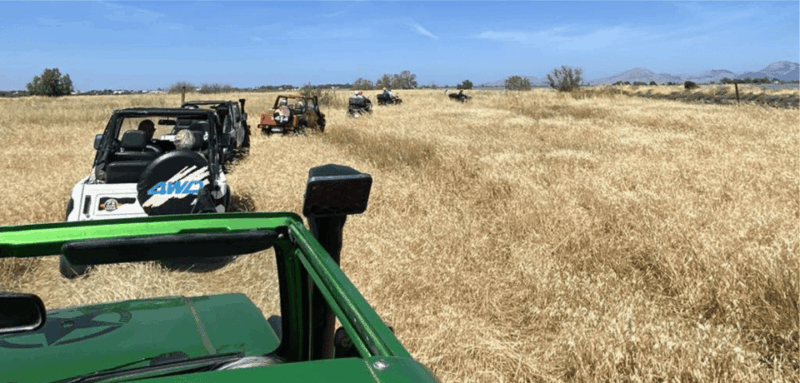 Kos: Guided Jeep or Quad Off-Road Tour With Drinks and Lunch - Customer Feedback and Ratings