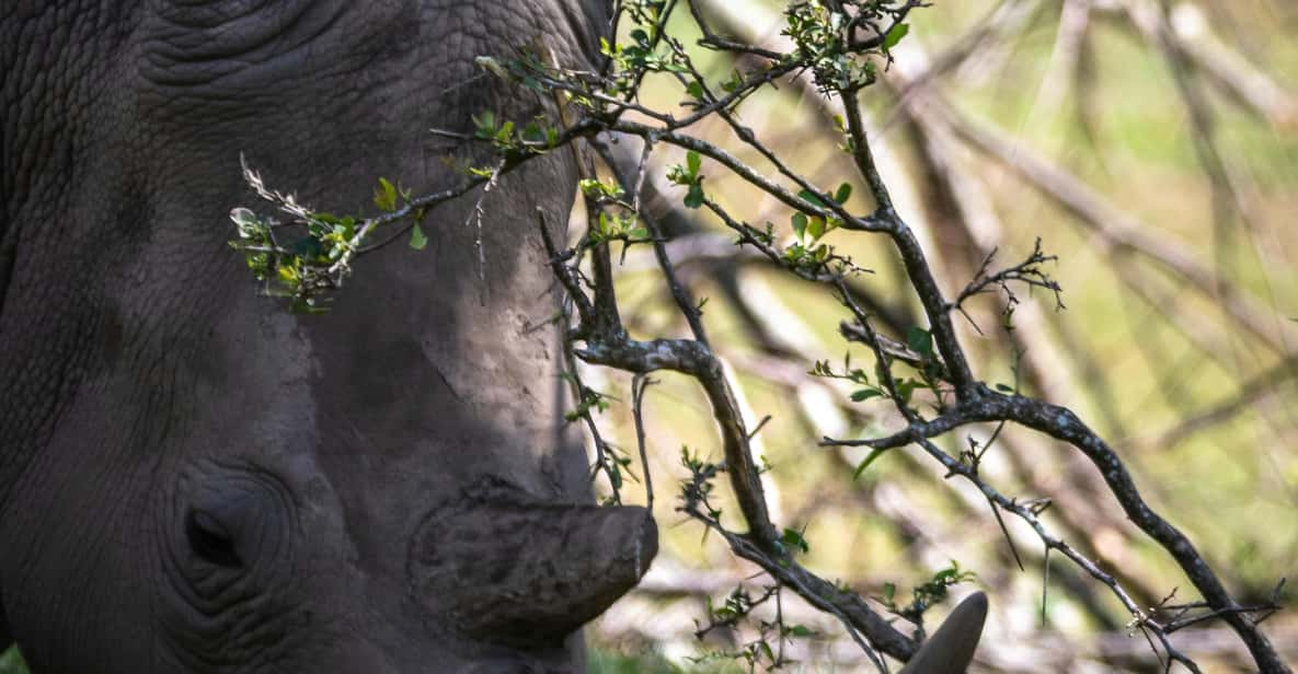 KRAGGA KAMMA GAME PARK - Good To Know