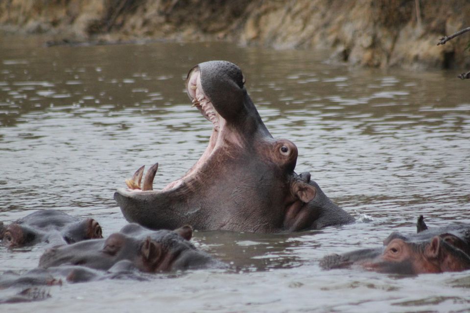 Kruger National Park - 5 Day Safari Tour - Good To Know