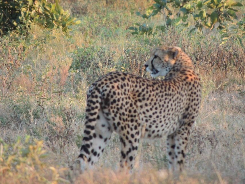 Kruger National Park Safari - 3 Day - Pickup and Accommodation