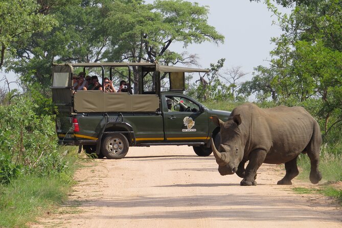Kruger National Park Sunrise Morning Private Safari - Good To Know