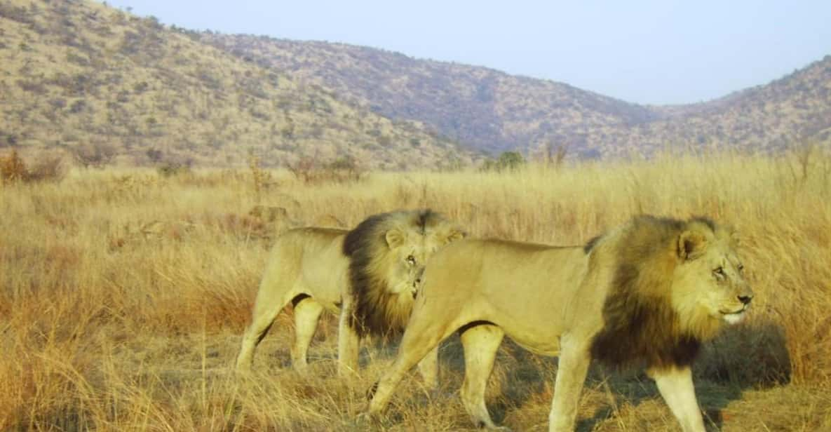 Kruger National Park Tour 3day/2 Nights (Open Safari Truck) - Good To Know