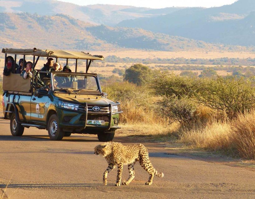 Kruger Park Shared Full Day Safari Drive From Hazyview - Good To Know