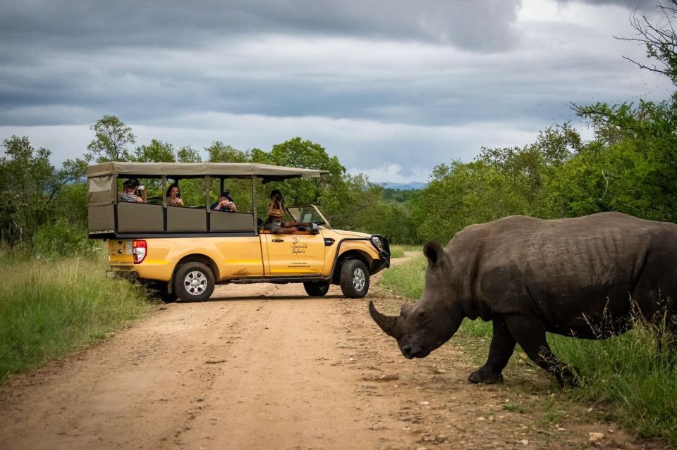 Kruger Safari Tour: Morning Half Day - Good To Know