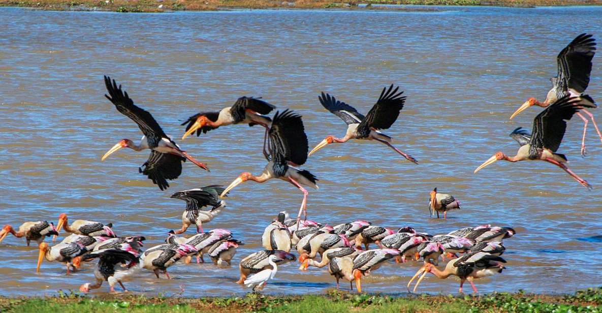 Kumana: Private 3-Hour Kumana National Park Safari - Good To Know