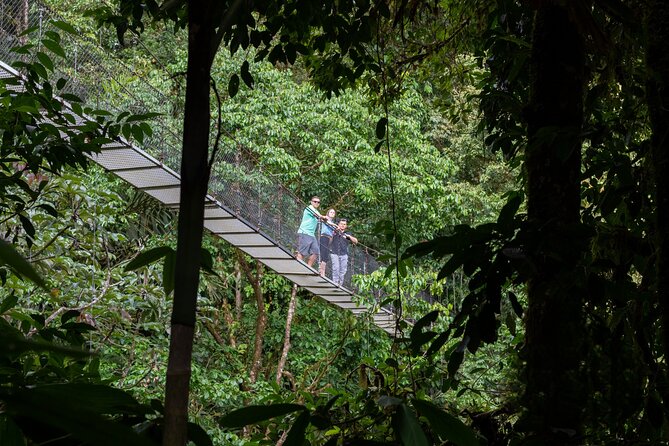 La Fortuna: Arenal Hanging Bridges Hiking Tour - Good To Know