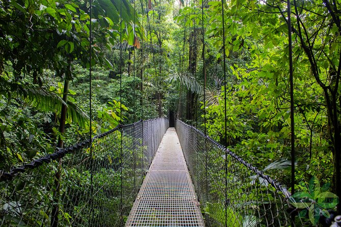 La Fortunas 3 Essentials Private Tour - Good To Know