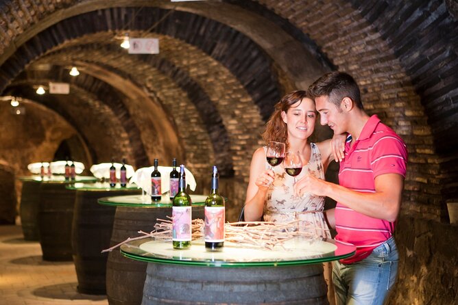 La Rioja: Wine Cellars and Laguardia Private Tour  - Pamplona - Good To Know