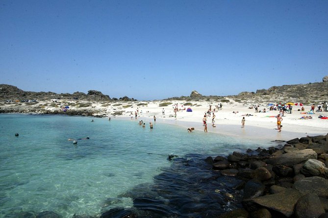 La Serena: Full Day to Damas Island & Humboldt Penguin National Reserve - Good To Know