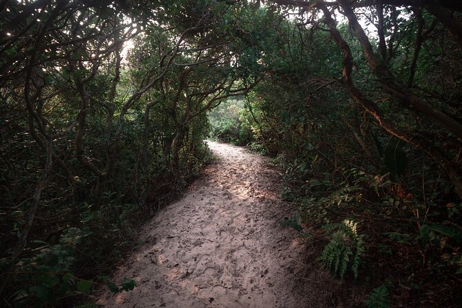 Lagoinha Do Leste Hiking and Photography Adventure - Meeting and Ending Points