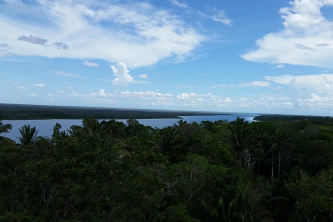 Lamanai Mayan Site and Safari River Tour From Belize City - Tour Overview