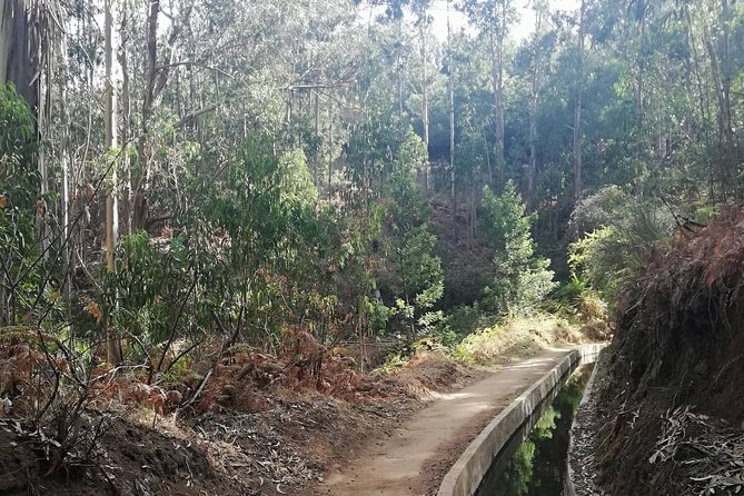 Levada Serra D'Agua - Good To Know