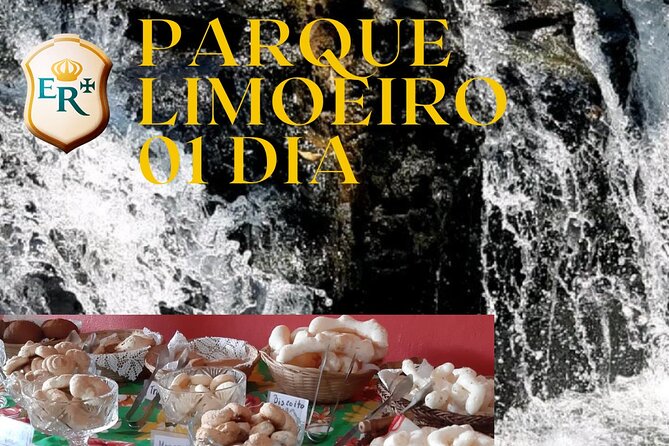 Limoeiro Park 01 Day - About Your Stay