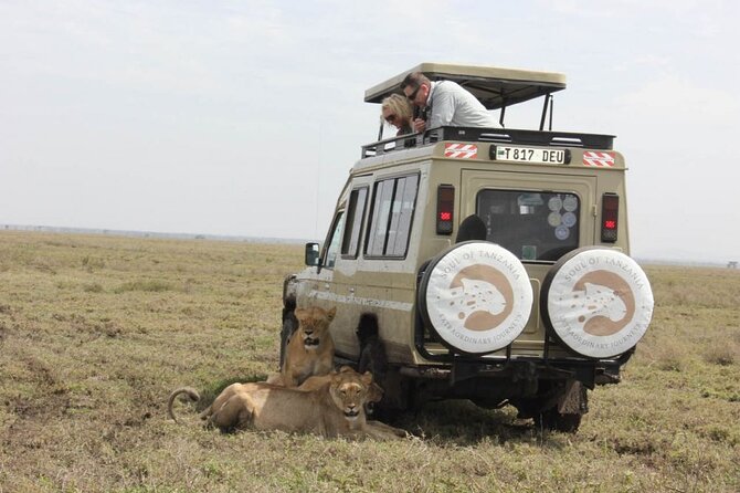 Living Among Lions - Good To Know