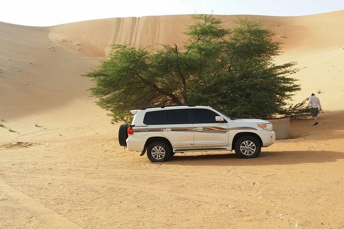 Liwa Full Day Desert Safari From Abu Dhabi - Good To Know