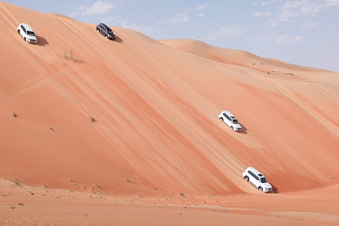 Liwa Oasis Desert Drive From Abu Dhabi - Good To Know