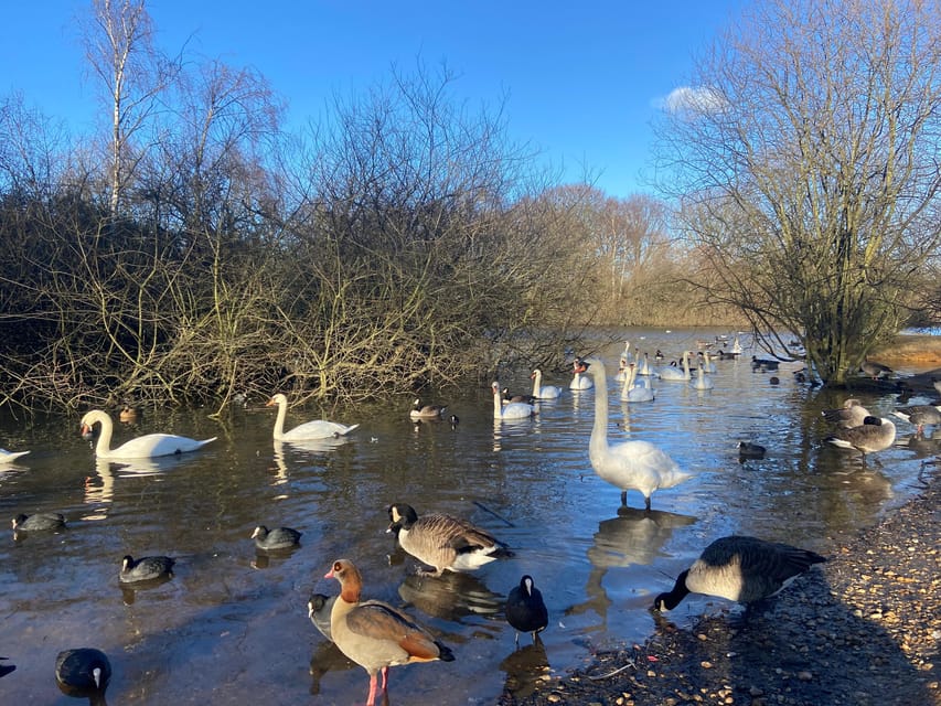 London: East London Country Parks Guided Walking Tour - Good To Know