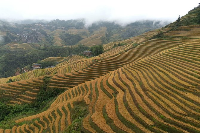 Longji Rice Terraces With the Dazhai Cable Car Private Day Tour - Good To Know