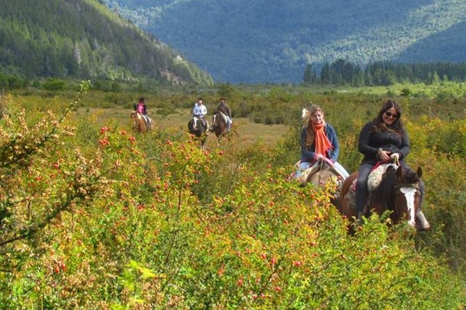 Los Baqueanos Lake Gutierrez Horseback Riding - Good To Know