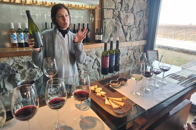 6 Best Guided Tours In Mendoza