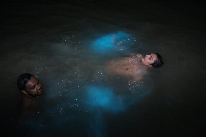 Luminous Lagoon Private Tour - Experience Highlights