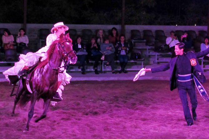 Lunch Show - Exhibition of Peruvian Horse With Pick up & Drop off - Overview and Experience