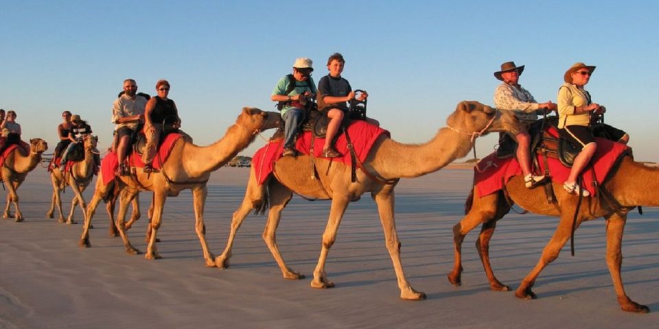 Luxor: Scenic Camel or Horse Ride - Good To Know