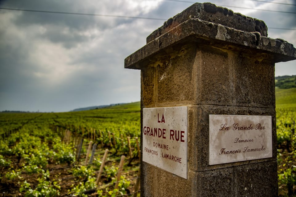 Luxury Burgundy Private Wine Tour - Tour Overview