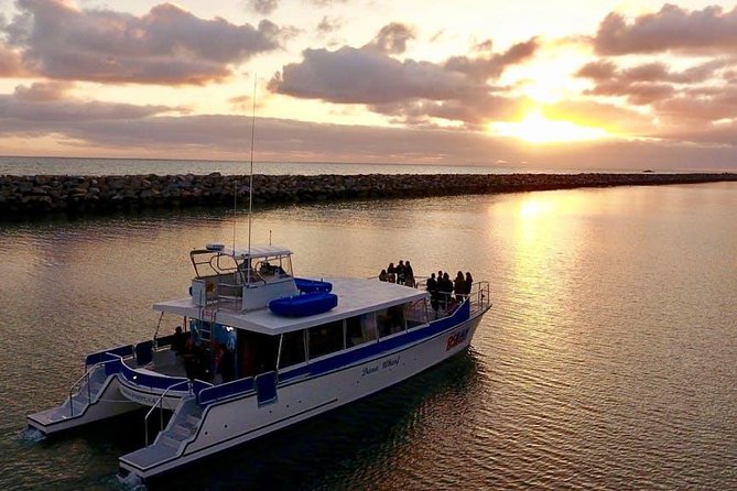Luxury Catamaran Sunset and Wine Cruise From Dana Point - Good To Know
