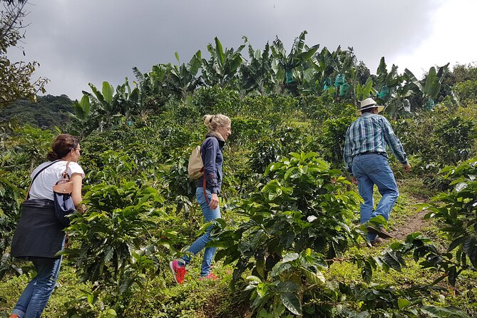 Magical Views of the Coffee Region - Cittaslow Three Towns - Good To Know