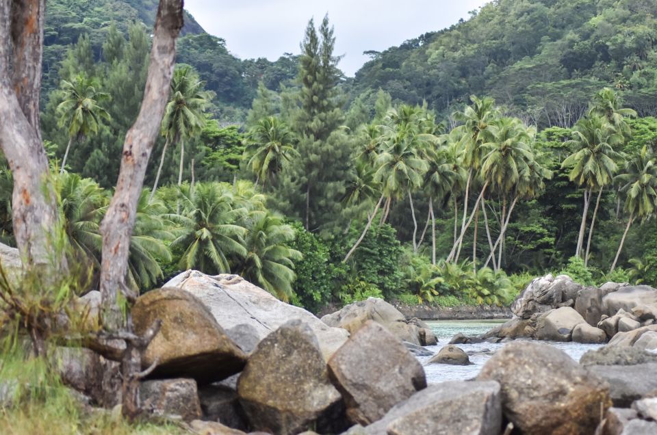 Mahe Island: Private Mahe Full Day Island Tour - Good To Know