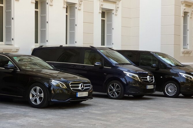 Malaga Airport (Costa Del Sol) Private Arrival Transfer - Good To Know