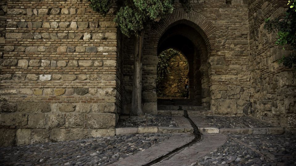 Málaga: Roman Theatre and Alcazaba Guided Tour - Good To Know