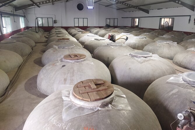 Malaga Winery and Olive Mill Guided & Tasting Tour With Tapas - Tour Overview