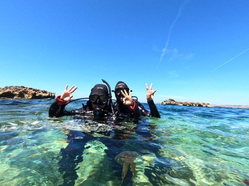 Malta: St. Pauls Bay 1 Day Scuba Diving Course - Good To Know