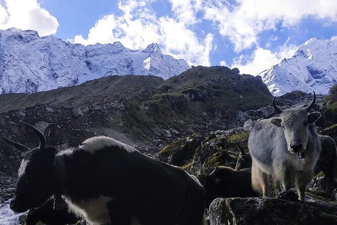 Manaslu Circuit Trek - Good To Know