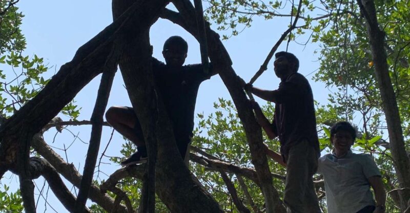 Mangrove Adventure in Bentota - Good To Know