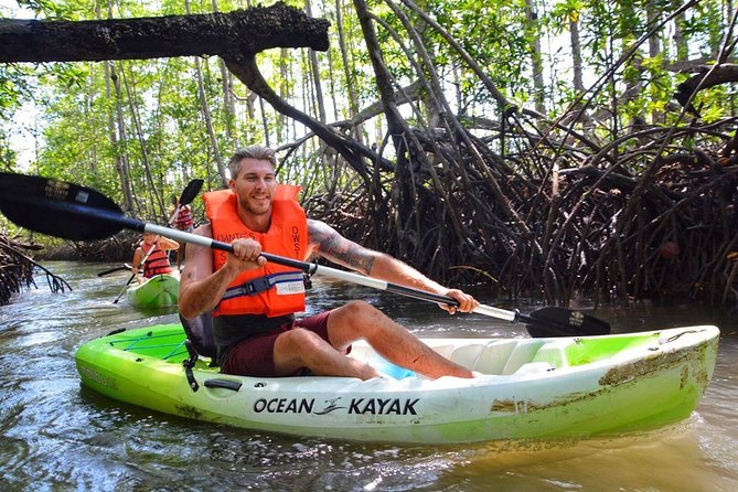 Mangrove Kayaking (Or Boat) Adventure - Good To Know