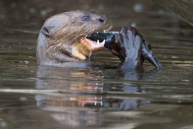Manu National Park Tour 4 Days - About Your Stay