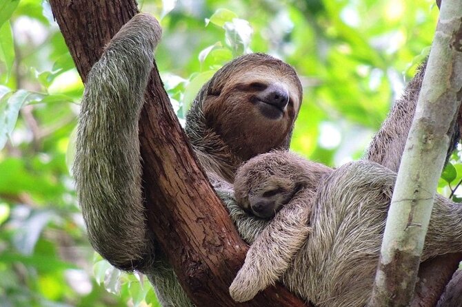 Manuel Antonio National Park - Good To Know