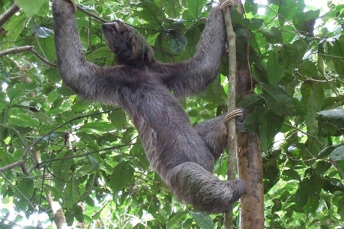 Manuel Antonio National Park - Good To Know