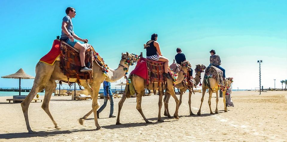 Marsa Alam: Sea and Desert Camel Riding Tour - Good To Know