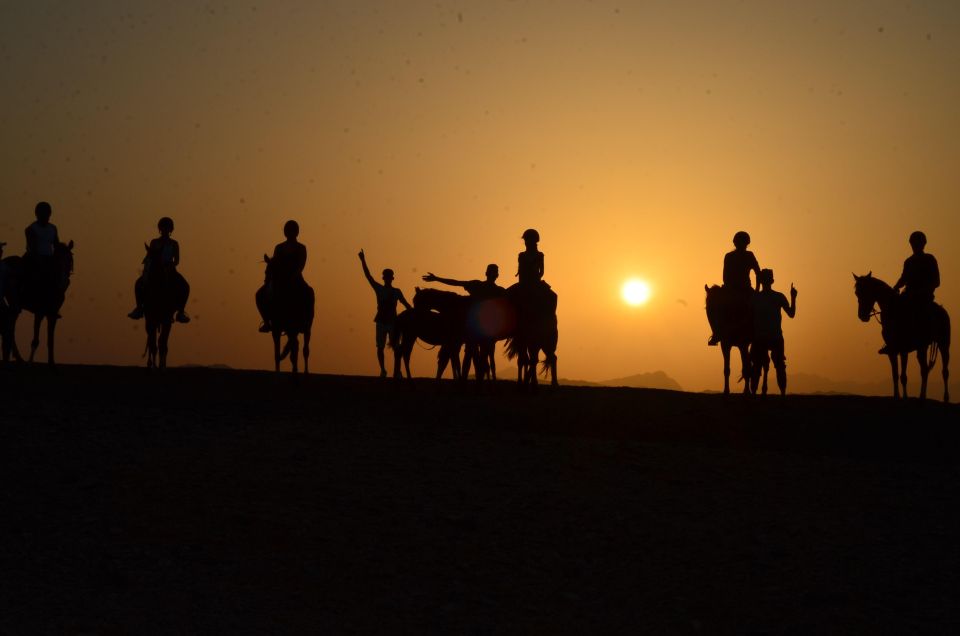 Marsa Alam: Sea and Desert Horse Riding Tour - Good To Know