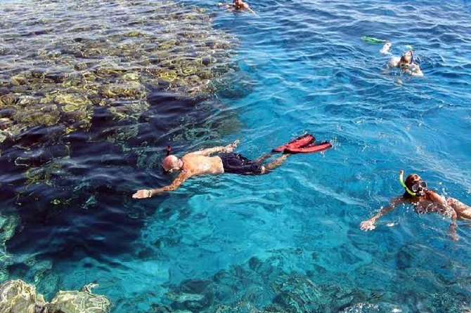 Marsa Alam: Snorkeling at Abu Dabab Beach - Good To Know