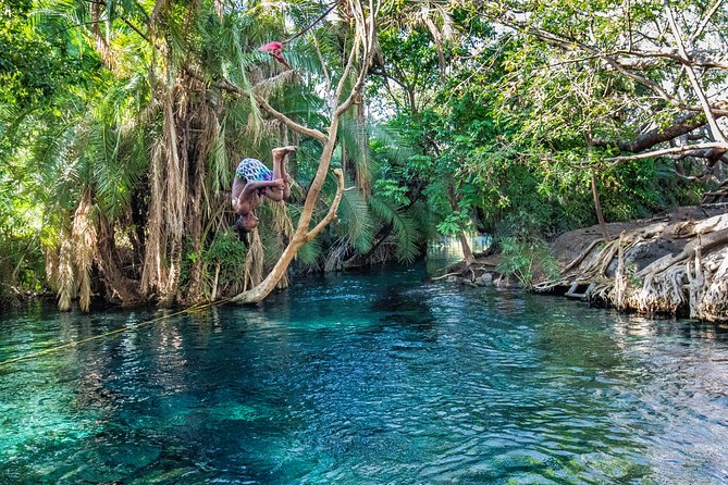 MATERUNI Waterfalls, Coffe Tour & Kikuletwa Hotsprings - Good To Know